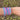 Pulsera Colors