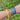 Pulsera Tibetana brillosa