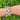 Pulsera Esmaltada